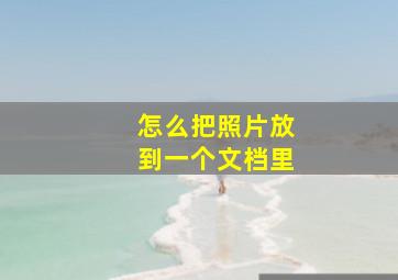 怎么把照片放到一个文档里