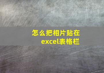 怎么把相片贴在excel表格栏