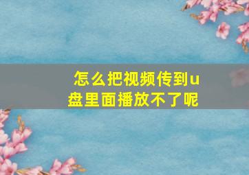 怎么把视频传到u盘里面播放不了呢