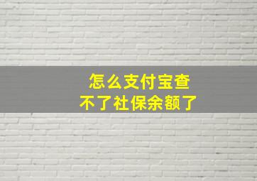 怎么支付宝查不了社保余额了