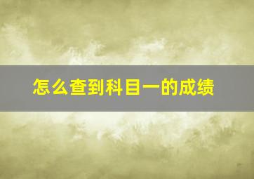 怎么查到科目一的成绩