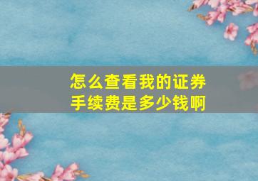 怎么查看我的证券手续费是多少钱啊