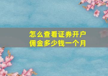 怎么查看证券开户佣金多少钱一个月