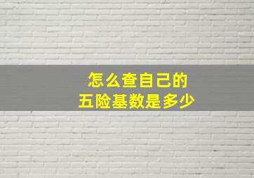 怎么查自己的五险基数是多少