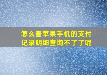 怎么查苹果手机的支付记录明细查询不了了呢