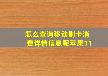 怎么查询移动副卡消费详情信息呢苹果11