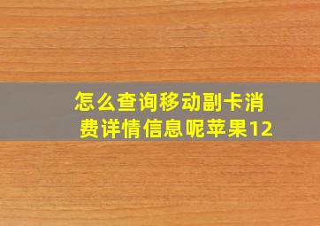 怎么查询移动副卡消费详情信息呢苹果12