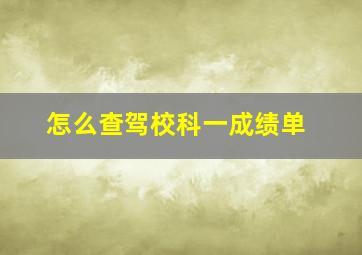 怎么查驾校科一成绩单