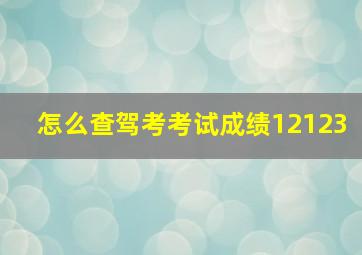 怎么查驾考考试成绩12123