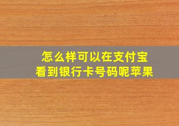 怎么样可以在支付宝看到银行卡号码呢苹果