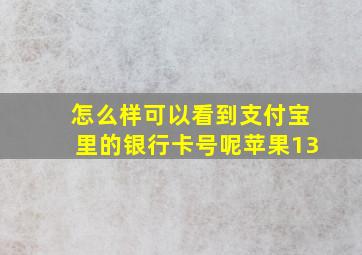 怎么样可以看到支付宝里的银行卡号呢苹果13