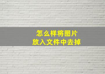 怎么样将图片放入文件中去掉