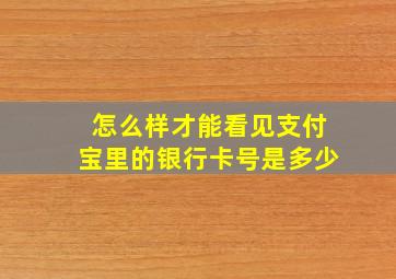 怎么样才能看见支付宝里的银行卡号是多少