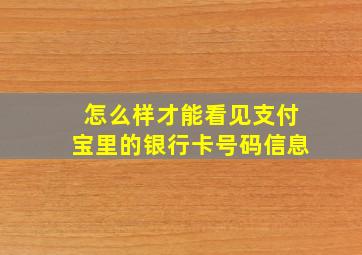 怎么样才能看见支付宝里的银行卡号码信息