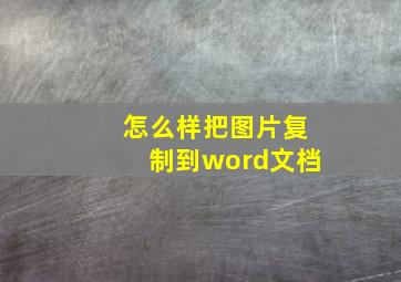 怎么样把图片复制到word文档