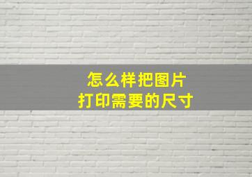 怎么样把图片打印需要的尺寸