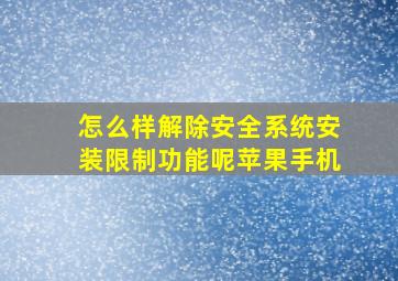 怎么样解除安全系统安装限制功能呢苹果手机