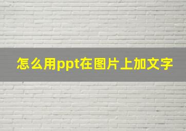 怎么用ppt在图片上加文字