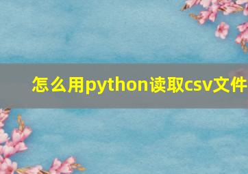 怎么用python读取csv文件