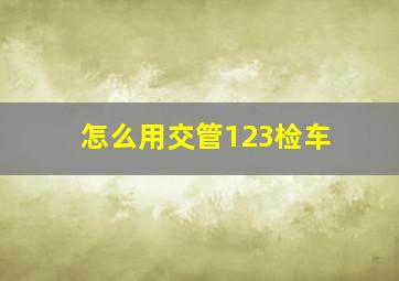 怎么用交管123检车