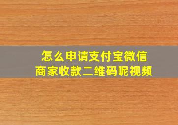 怎么申请支付宝微信商家收款二维码呢视频