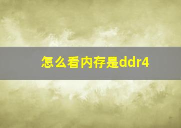 怎么看内存是ddr4