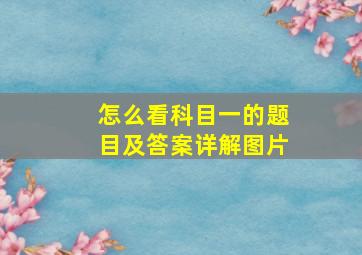 怎么看科目一的题目及答案详解图片