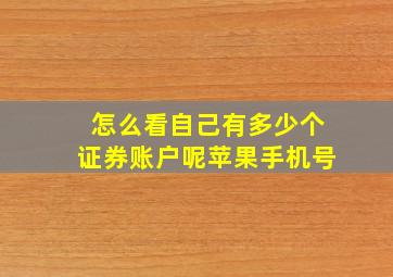 怎么看自己有多少个证券账户呢苹果手机号