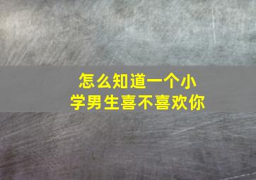 怎么知道一个小学男生喜不喜欢你