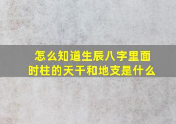 怎么知道生辰八字里面时柱的天干和地支是什么