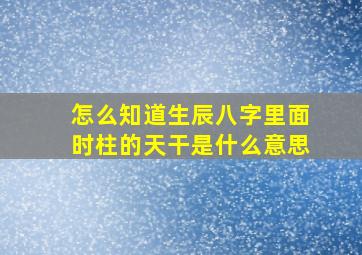 怎么知道生辰八字里面时柱的天干是什么意思