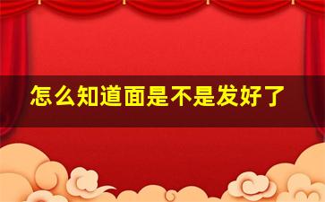 怎么知道面是不是发好了