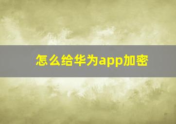 怎么给华为app加密