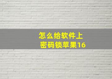 怎么给软件上密码锁苹果16