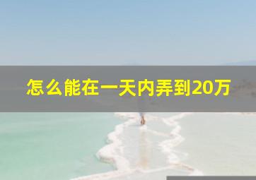 怎么能在一天内弄到20万