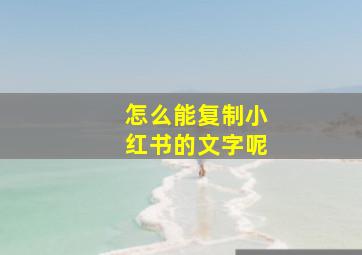 怎么能复制小红书的文字呢