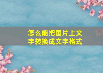 怎么能把图片上文字转换成文字格式