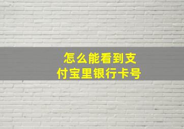 怎么能看到支付宝里银行卡号