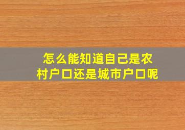 怎么能知道自己是农村户口还是城市户口呢