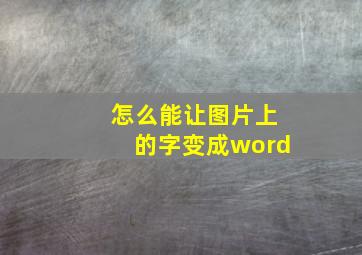 怎么能让图片上的字变成word