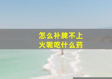 怎么补脾不上火呢吃什么药