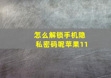 怎么解锁手机隐私密码呢苹果11