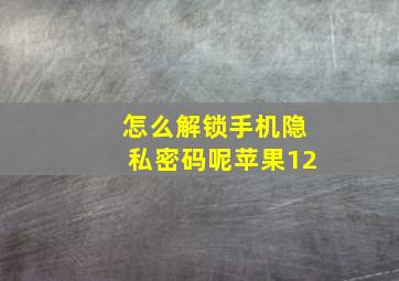 怎么解锁手机隐私密码呢苹果12