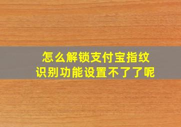 怎么解锁支付宝指纹识别功能设置不了了呢