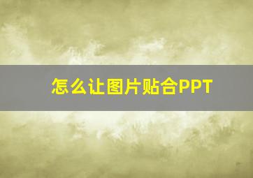 怎么让图片贴合PPT