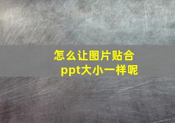 怎么让图片贴合ppt大小一样呢