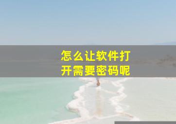 怎么让软件打开需要密码呢