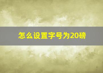 怎么设置字号为20磅