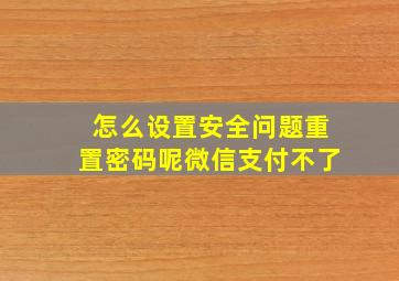 怎么设置安全问题重置密码呢微信支付不了