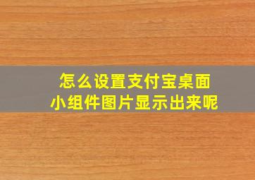 怎么设置支付宝桌面小组件图片显示出来呢